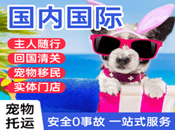 永州零陵机场托运国际宠物托运 【国